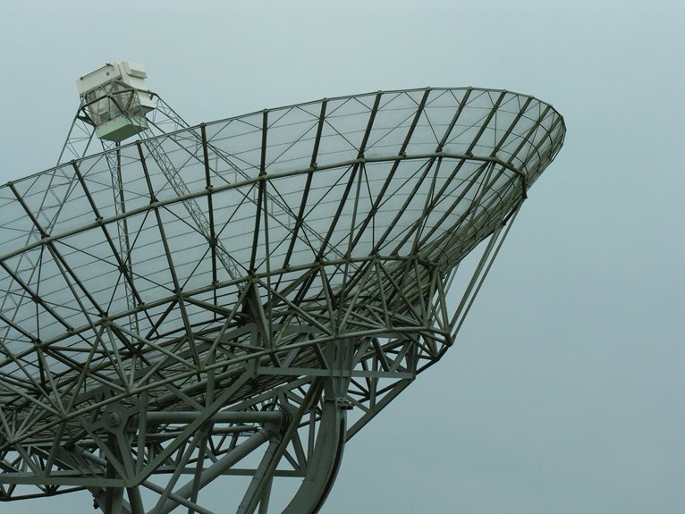 technical document overview summary